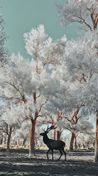 Surreal Romance: Custom Art Videos